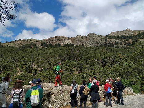 INIA-CSIC (@inia_es) on Twitter photo #NoticiasINIA El #ICIFOR #INIA_CSIC y <a href="/La_UPM/">Universidad Politécnica de Madrid</a>, junto con el <a href="/ieselescorial/">@ieselescorial</a> y el <a href="/IES_FGL/">IES F. García Lorca</a> (Las Rozas), participan en <a href="/PLANTANDO_CF/">Plantando Cara al Fuego</a>, un proyecto educativo para aprender a convivir con los incendios forestales <a href="/UniversidadeUSC/">USC</a> <a href="/CSICdivulga/">CSIC Divulga</a> <a href="/Fuego_lab/">FuegoLab</a> inia.es/comunicacion/n… #NoticiasINIA El #ICIFOR #INIA_CSIC y <a href="/La_UPM/">Universidad Politécnica de Madrid</a>, junto con el <a href="/ieselescorial/">@ieselescorial</a> y el <a href="/IES_FGL/">IES F. García Lorca</a> (Las Rozas), participan en <a href="/PLANTANDO_CF/">Plantando Cara al Fuego</a>, un proyecto educativo para aprender a convivir con los incendios forestales <a href="/UniversidadeUSC/">USC</a> <a href="/CSICdivulga/">CSIC Divulga</a> <a href="/Fuego_lab/">FuegoLab</a> inia.es/comunicacion/n…