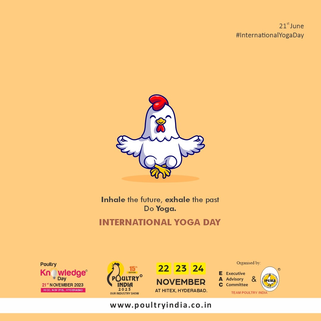 PoultryProtein's tweet photo. Yoga Day is the perfect day to get in touch with your body and mind. Celebrate this special day by engaging in a mindful practice that will allow you to find peace and balance. 

#YogaDay #Yoga #Mindfulness #Balance #Wellness #InternationalYogaDay #YogaEveryday #PoultryProtein https://t.co/xZJVlDnwtV