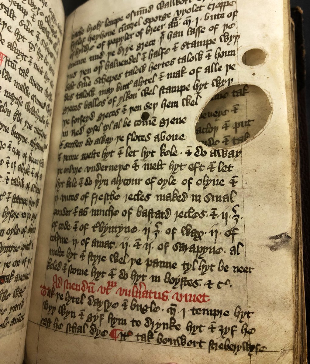 Elizabeth Burrell tweet media