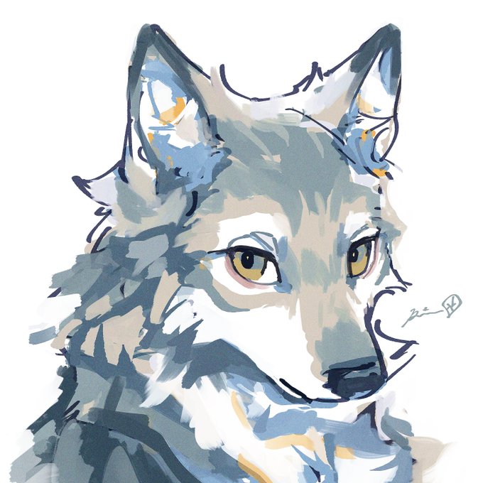「furry male wolf」 illustration images(Latest)