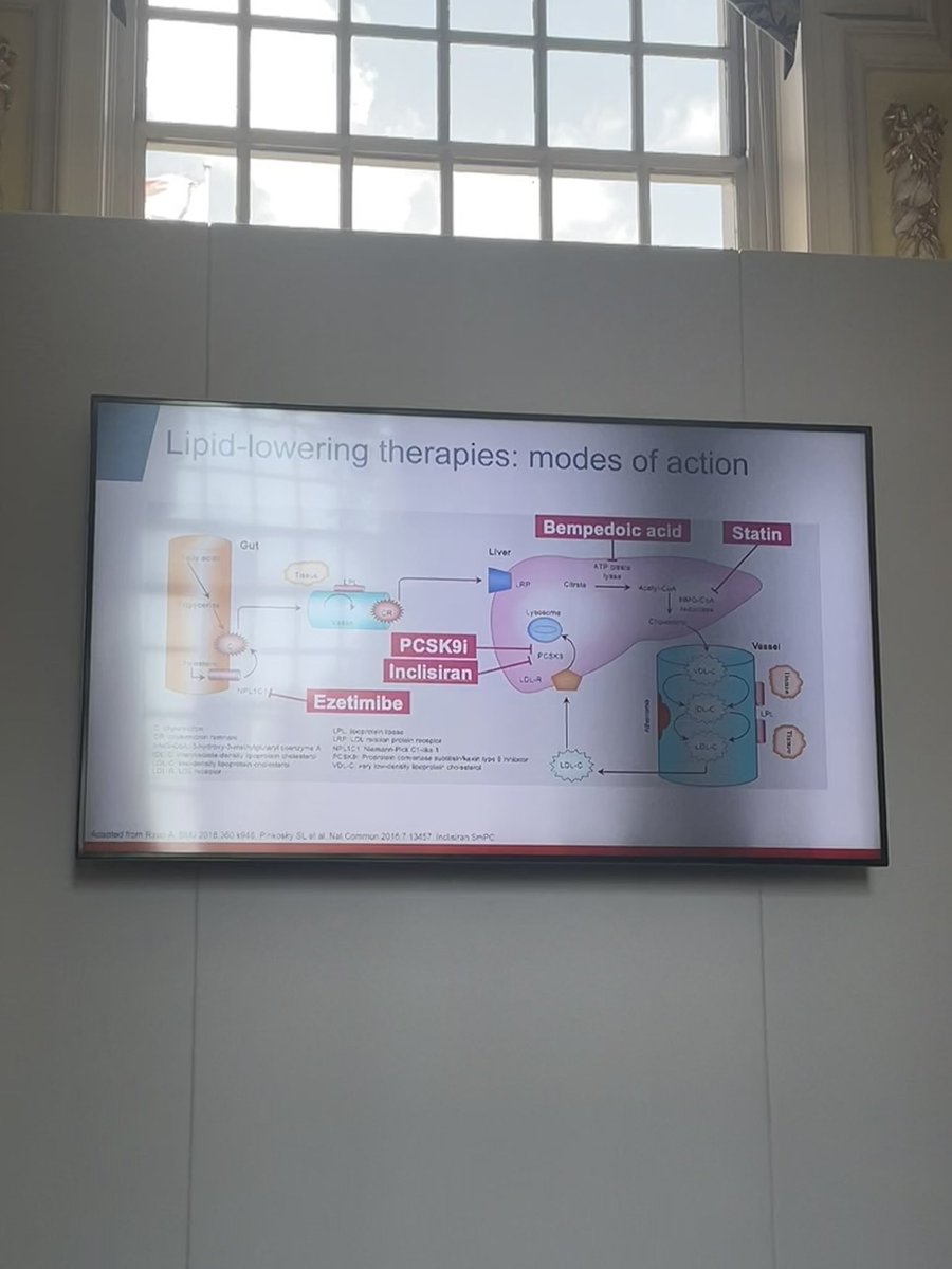 Our #pharmcaist colleagues in #primarycare are doing excellent work with lipid management and lowering CVD risk. Lots to take home and implement in #secondarycare to improve patient outcomes. Thanks @drkevinfernando 😎 @Benjamin_Rock_
