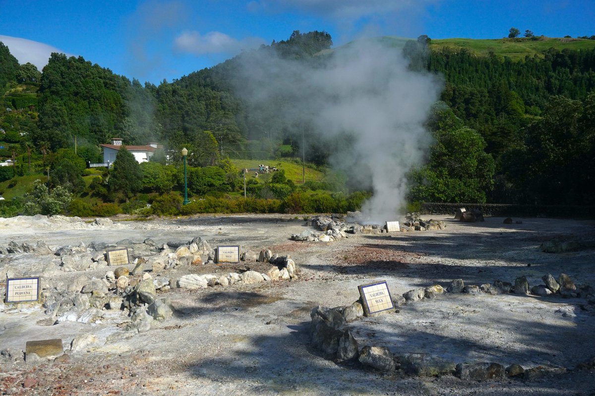 RandomTrip tweet media