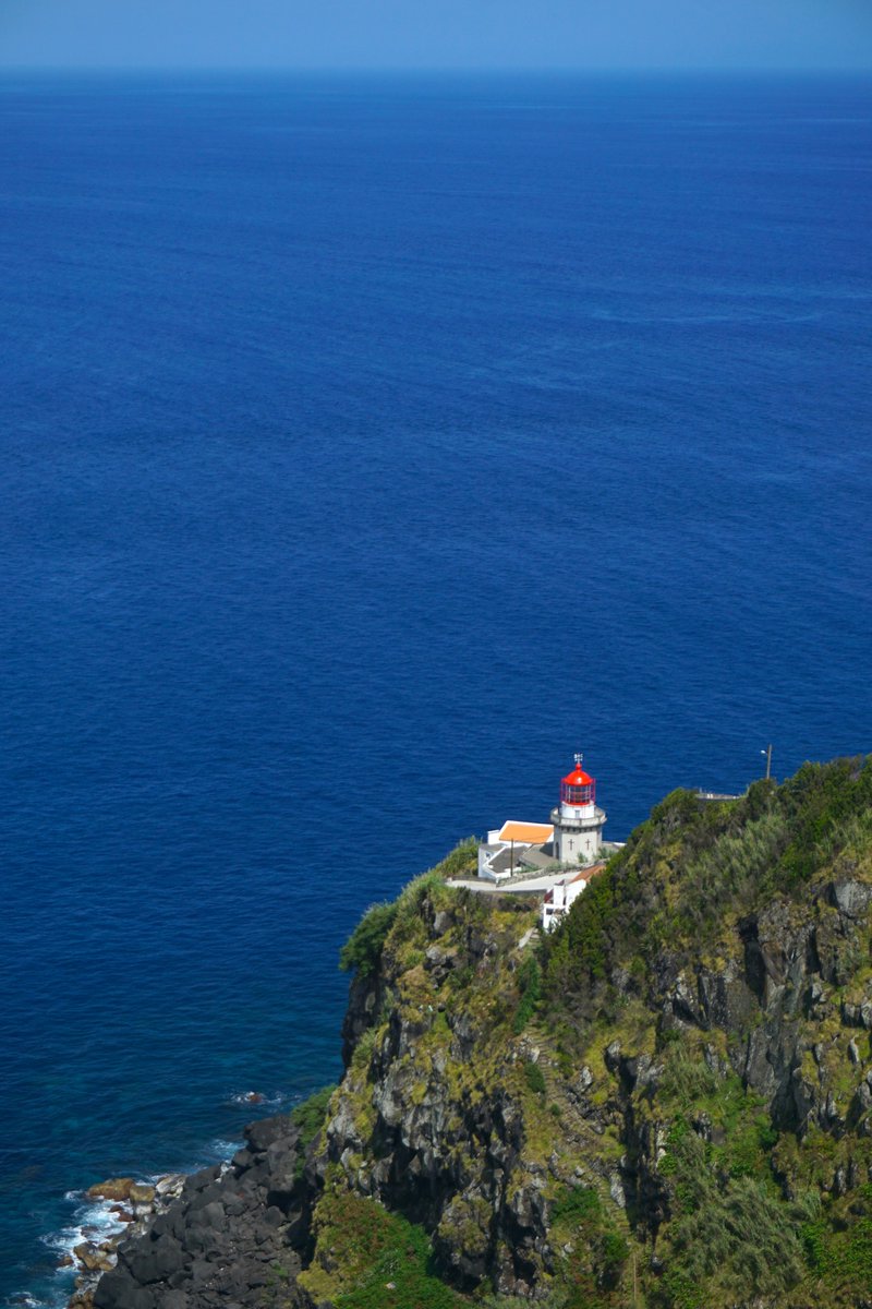 RandomTrip tweet media