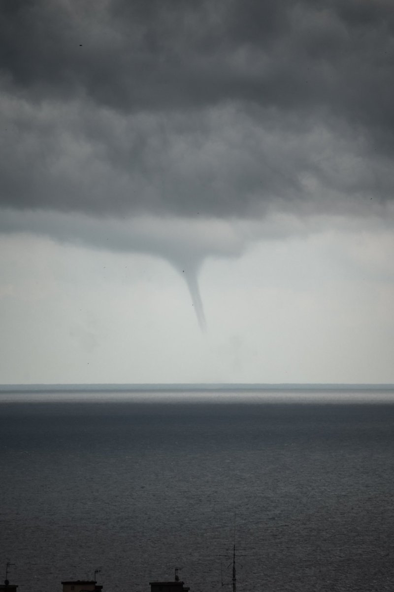 VisualBlue tweet media