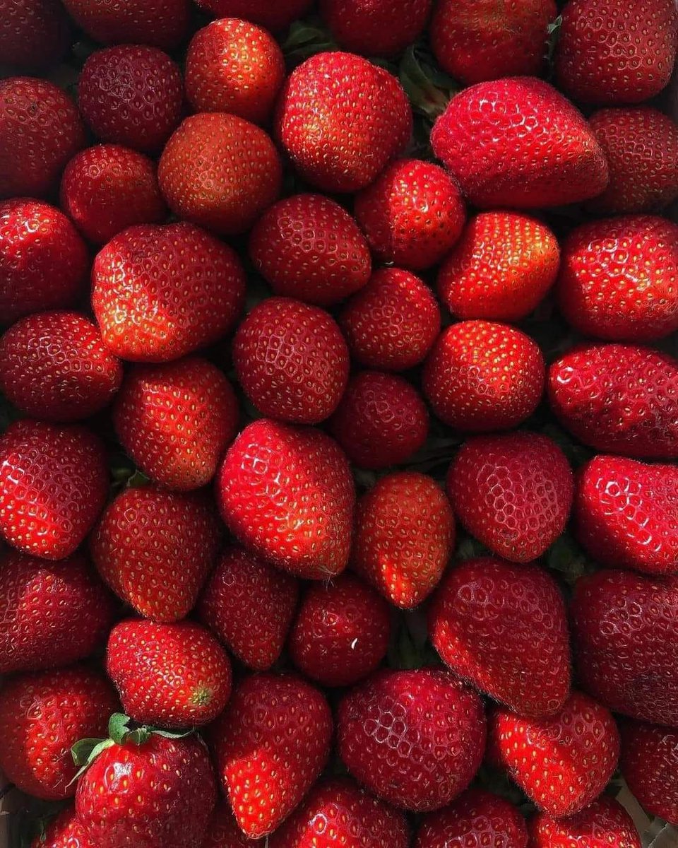 prettiestavenue's tweet photo. fresh strawberries 🍓 https://t.co/D06I66ZXpR