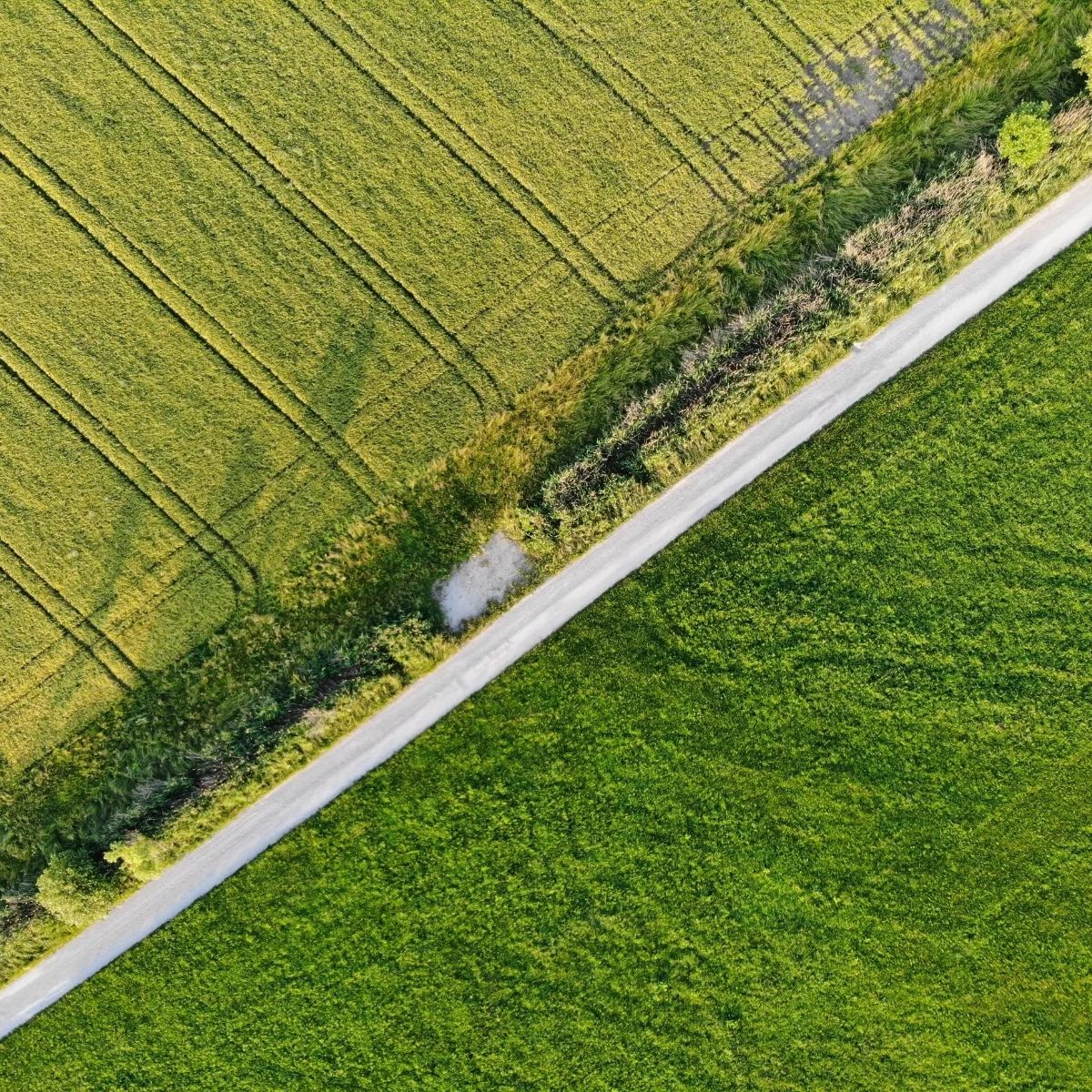 ClimateGlobe's tweet photo. Immerse yourself in the world of climate data through our interactive globe application. Join the global community working towards a greener, healthier future! https://t.co/XRiXI28pc3