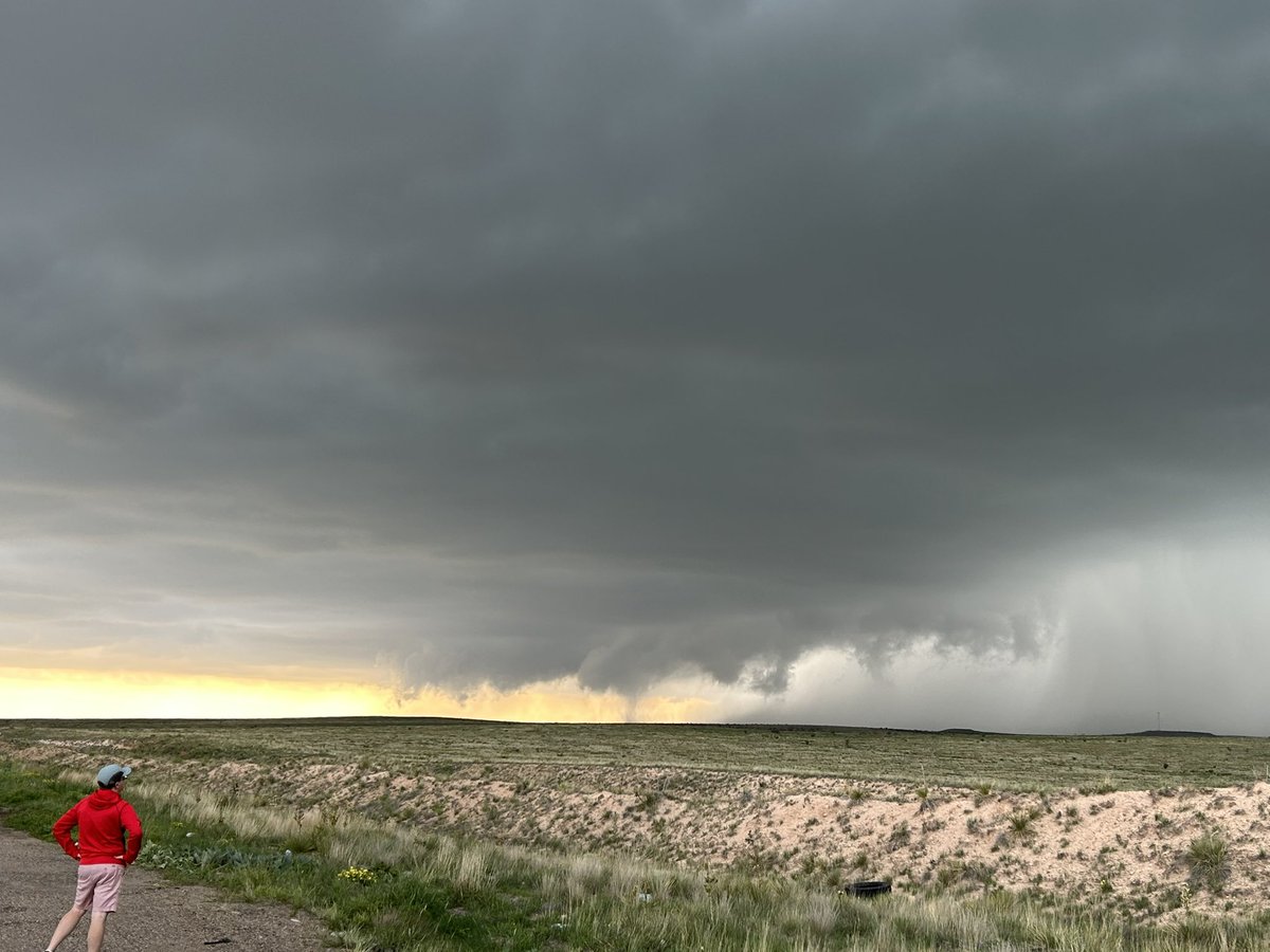 amy 🌪️ tweet media