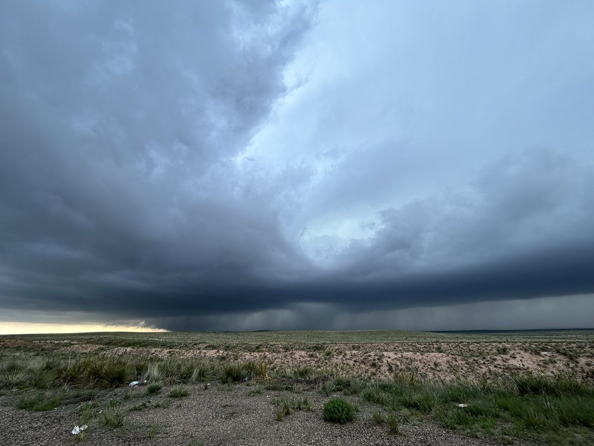 amy 🌪️ tweet media