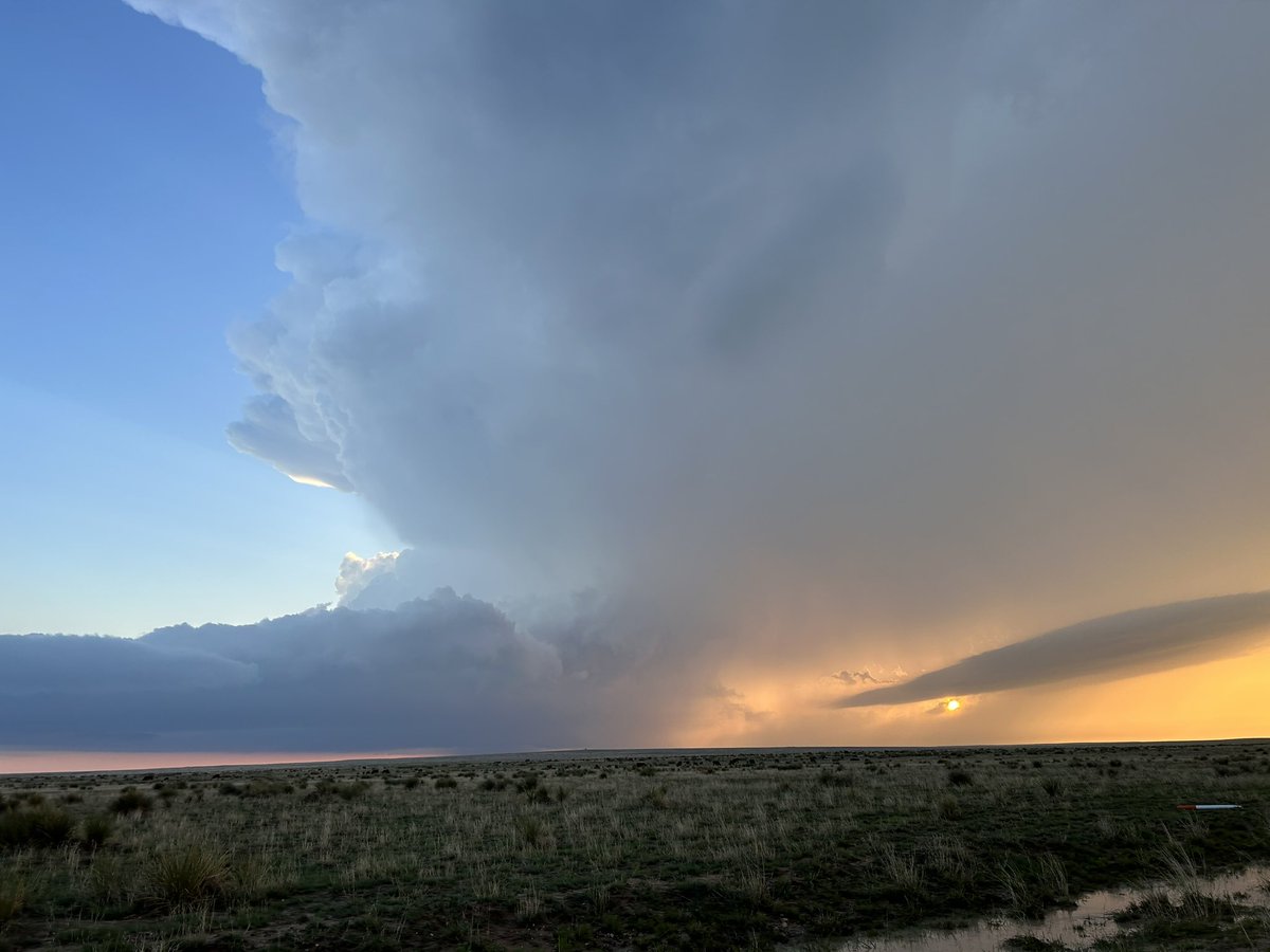 amy 🌪️ tweet media