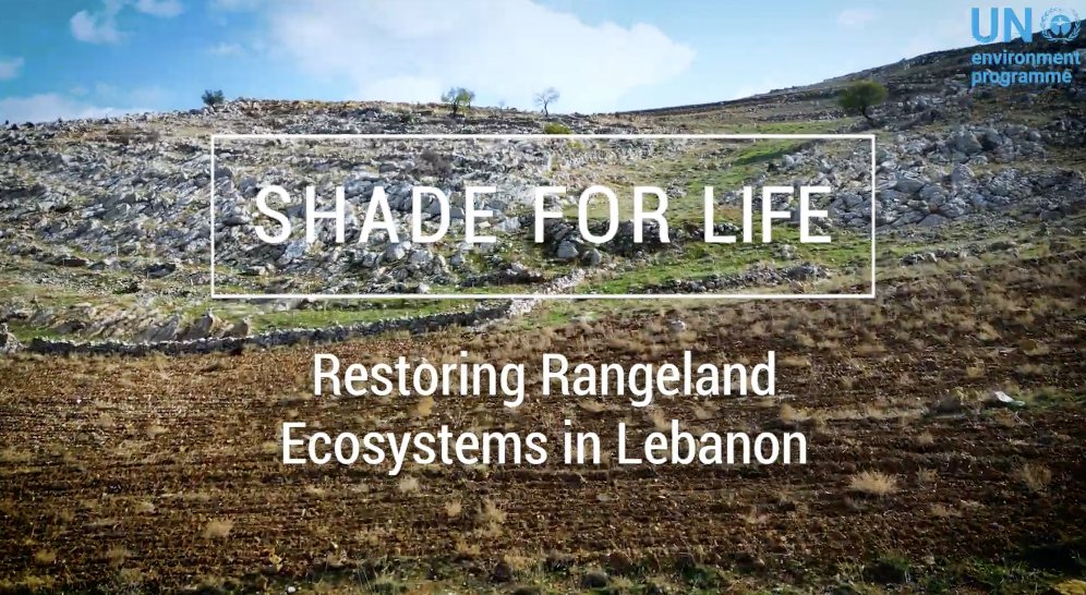 🌿The restoration of Lebanon's parched rangelands brings hope to shepherds and the #environment! 

Learn how @UNEP's Shade for Life project combats land degradation and protects livestock👉unep.org/news-and-stori…

#GenerationRestoration