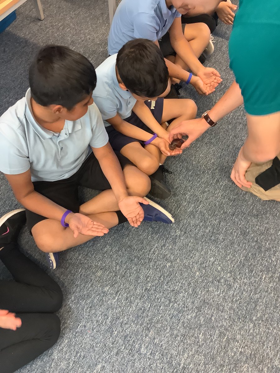 Byronprimarysch's tweet photo. 3B loved our visit from #Zoolab today. We enjoyed finding out about where all the animals came from and their habitats.
#ByronSTEM https://t.co/8I1ZPcXXCV
