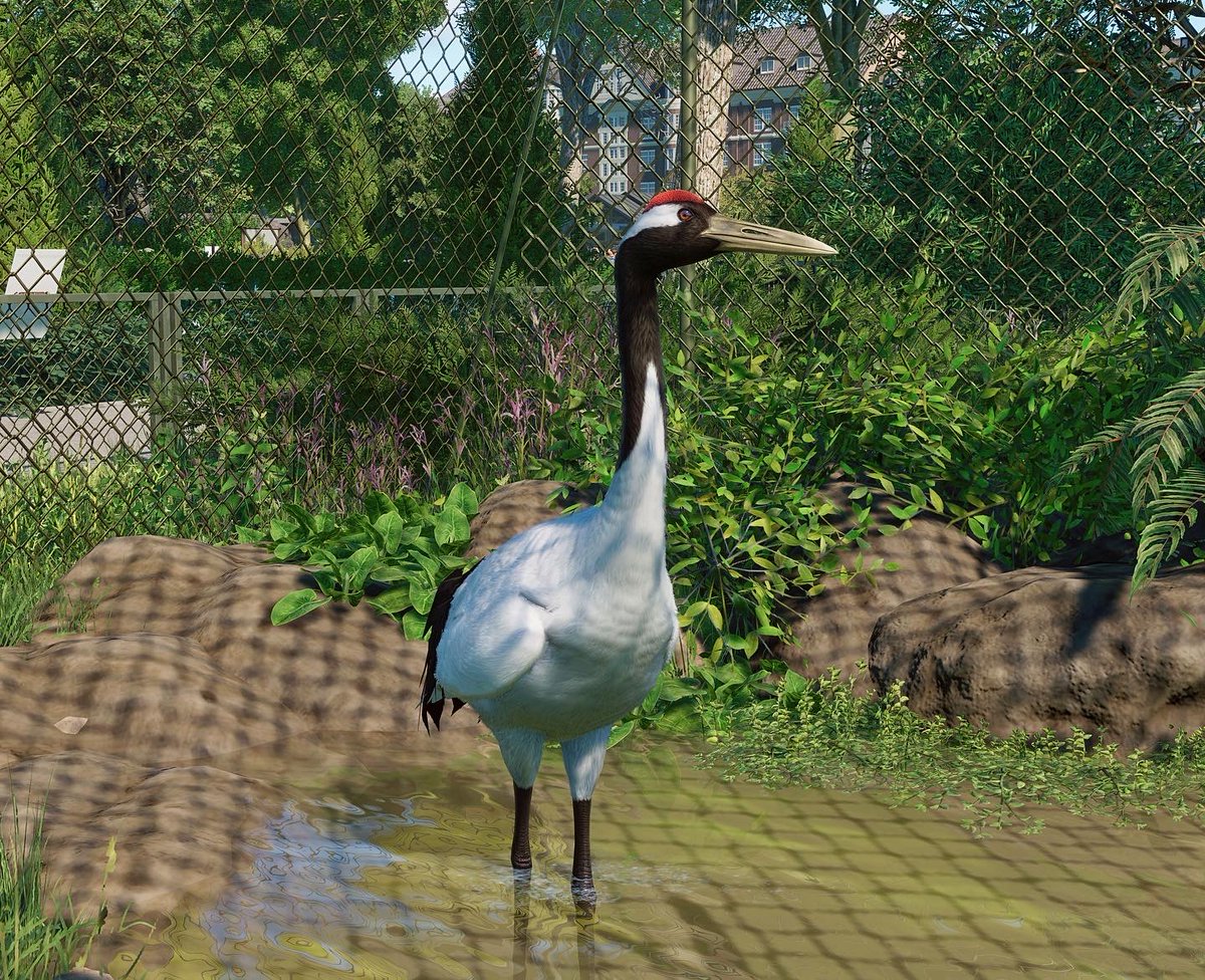 Valby City Zoo on Twitter: 