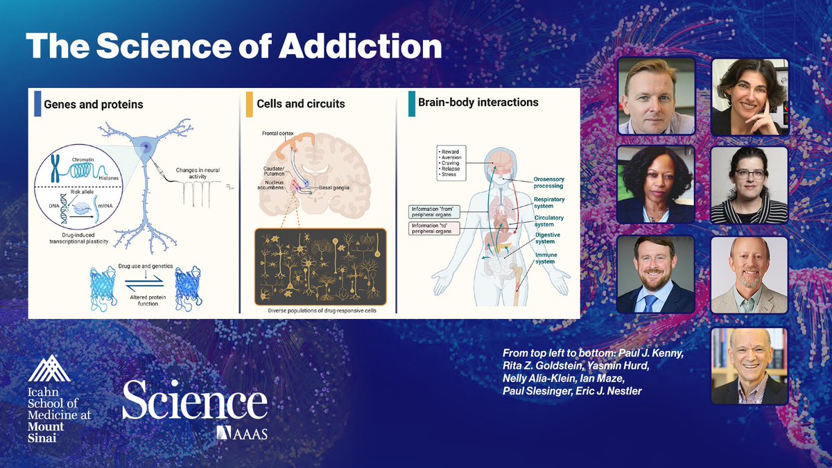 OUT NOW: Frontiers of Medical Research: Brain Science! Explore “The Science of #Addiction' w/ @PaulKennyPhD, Rita Z. Goldstein, Yasmin Hurd @neurovoice, Nelly Alia-Klein, Ian Maze @TheMazeLab, Paul Slesinger @paslesin & @EricJNestler. @ScienceMagazine science.org/content/resour…