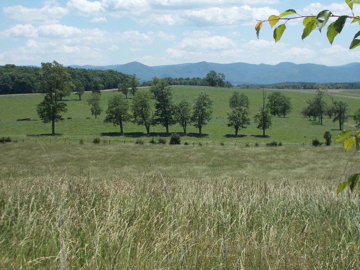 AppalachiaAesth's tweet photo. Rockingham County, Virginia https://t.co/8nFqypW5F7