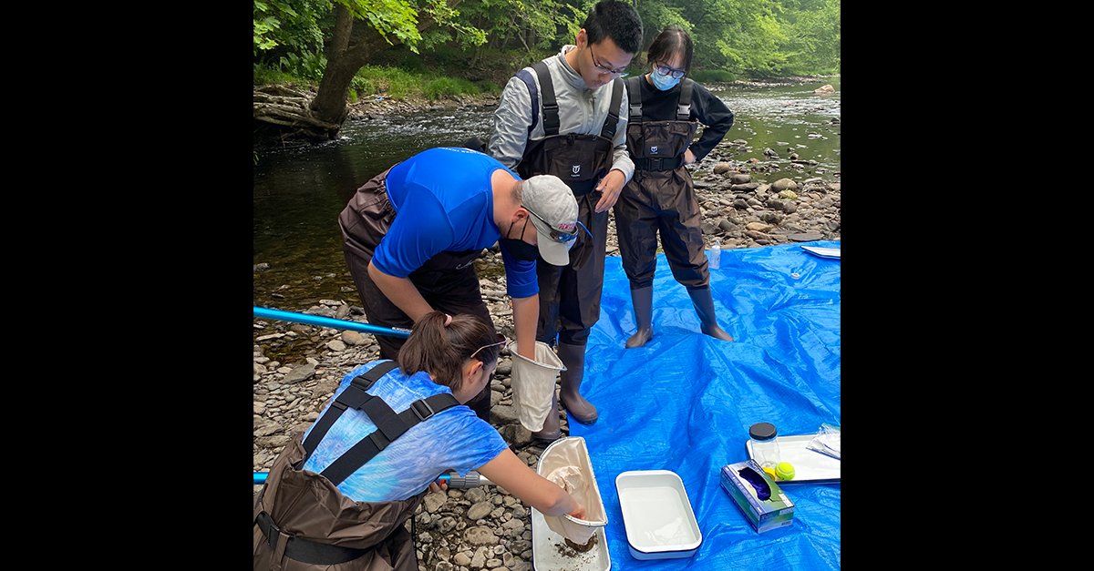 This summer, students taking our Field Experiences in Aquatic Biology course are collecting samples to determine the health of a local ecosystem.