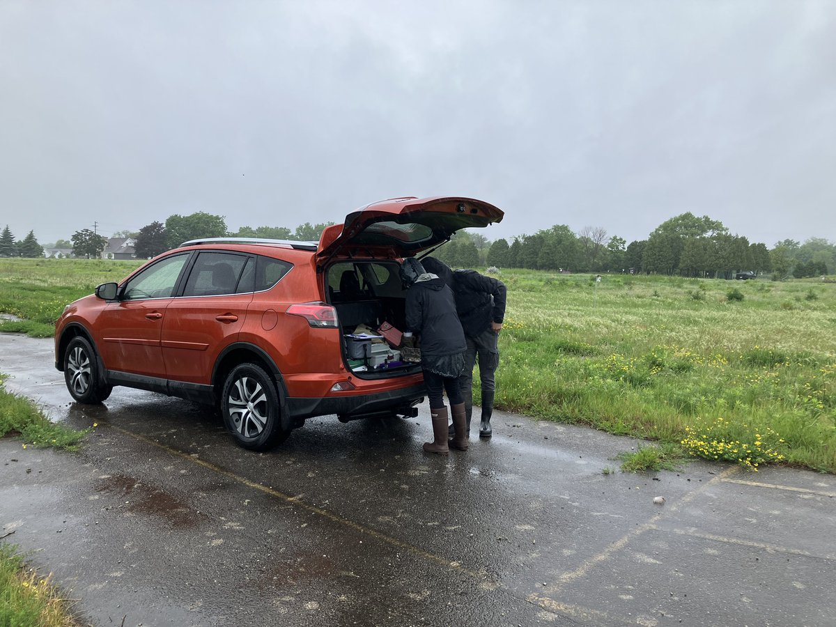 RattleCall's tweet image. Sampling &amp;amp; banding nestlings (with permits!) in 50° and rain is straight up not a good time