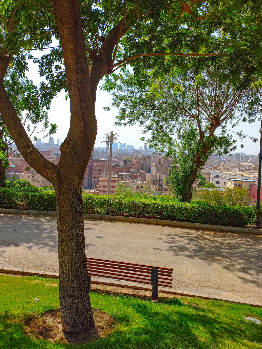 roka (@roka31999) on Twitter photo 