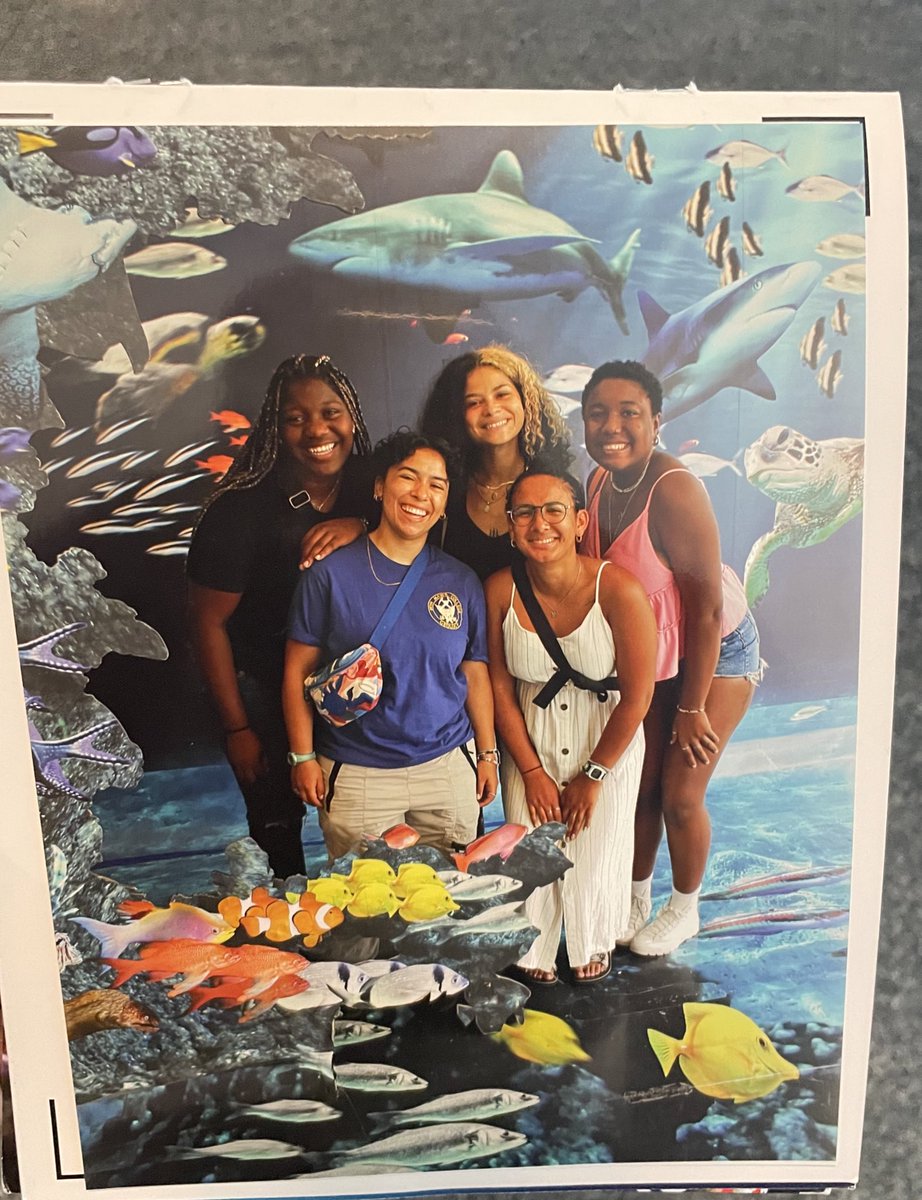 amira_layeni's tweet photo. my week in mallorca at @aslo_org 2023 showed why diversity and inclusivity is so so important. The next gen of science is here! https://t.co/13HwuMrsRH