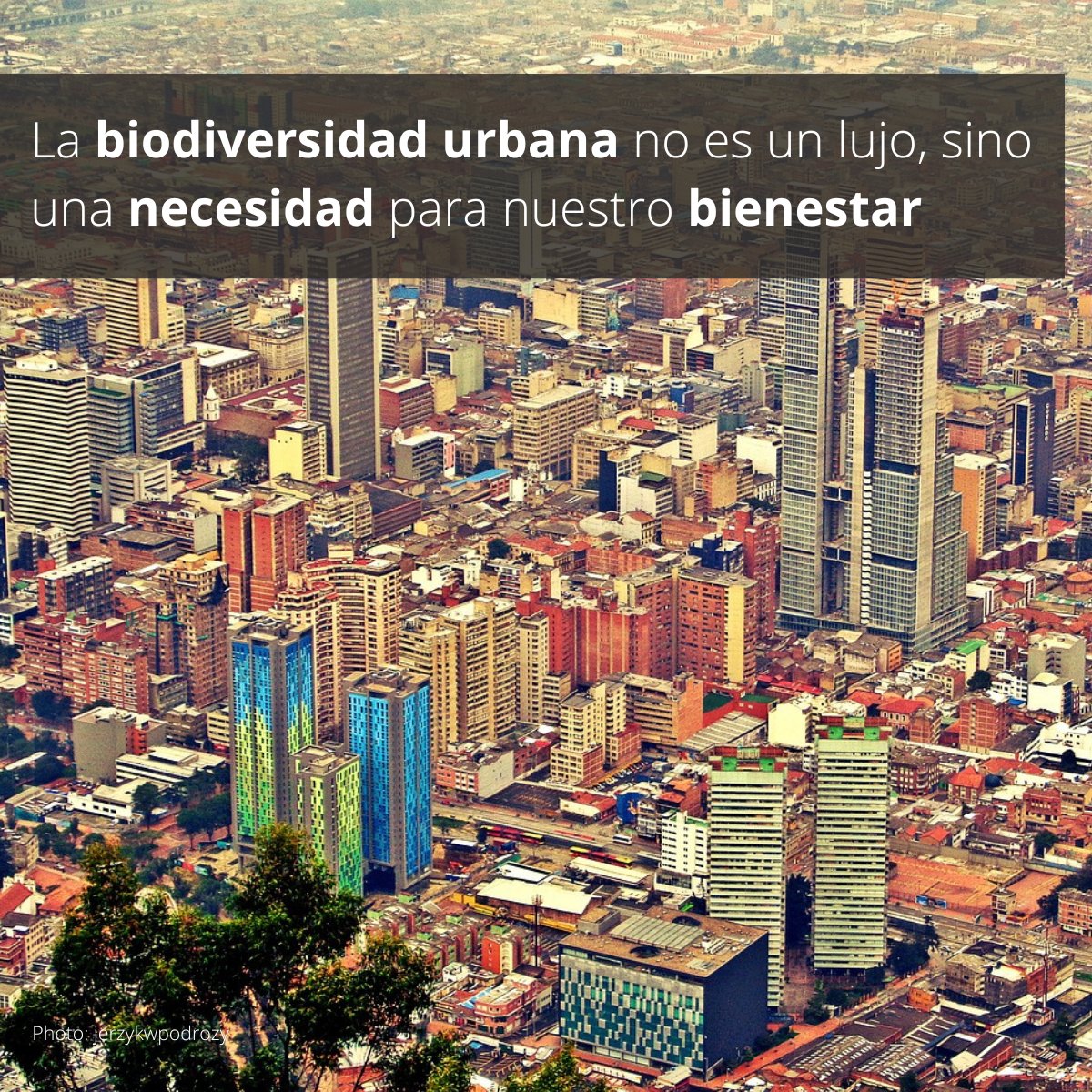 La biodiversidad urbana es fundamental para que las ciudades sean más habitables. Conoce cómo calcular el rendimiento ecológico de tu ciudad con el nuevo marco de Índices de Naturaleza Urbana de la <a href="/IUCN/">IUCN</a>.

<a href="/UNEPWCMC/">UNEP-WCMC</a> <a href="/UBHub_org/">Urban Biodiversity Hub</a> 
iucnurbannatureindexes.org