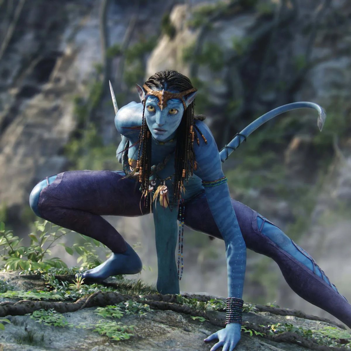 amelya on Twitter "RT DiscussingFilm All of the ‘AVATAR’ sequels