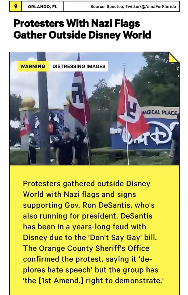 transgemder's tweet image. damn the “protect children” crowd have no problem with nazis gathering at Disney world, one may even come to the conclusion that they don’t care about children at all?