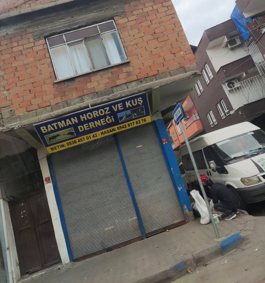 Ayse Bulut (@birbenvehalibo) on Twitter photo 