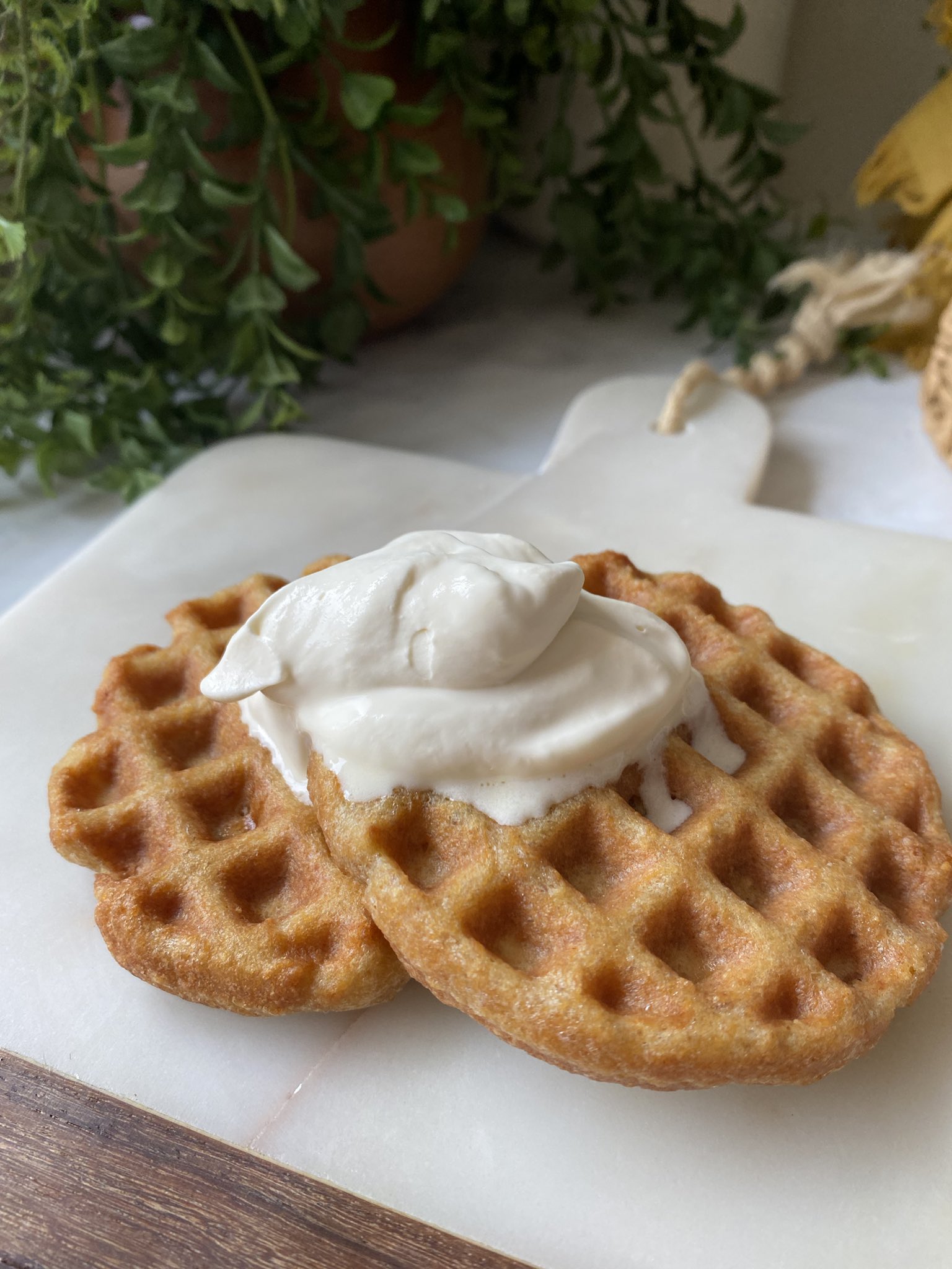 Courtney Luna Carnivore on Twitter "Carnivore keto waffles 1/4 C pork