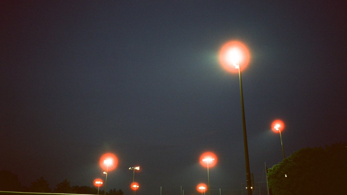 Steven Schultz tweet media