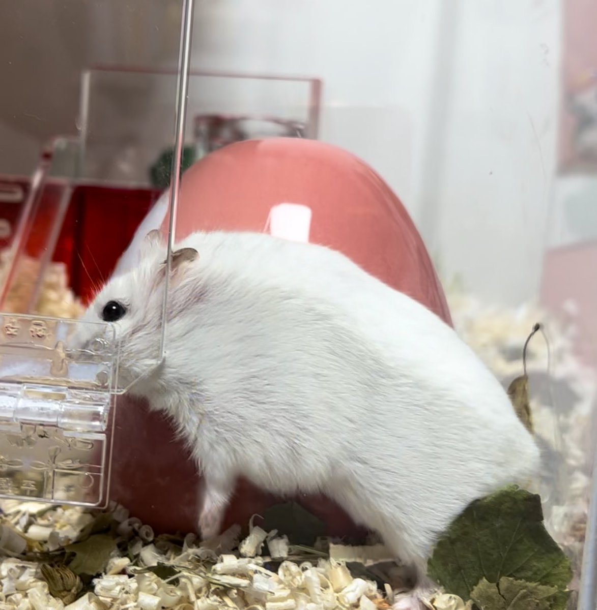 허공에 멈춰있고 싶었니…..