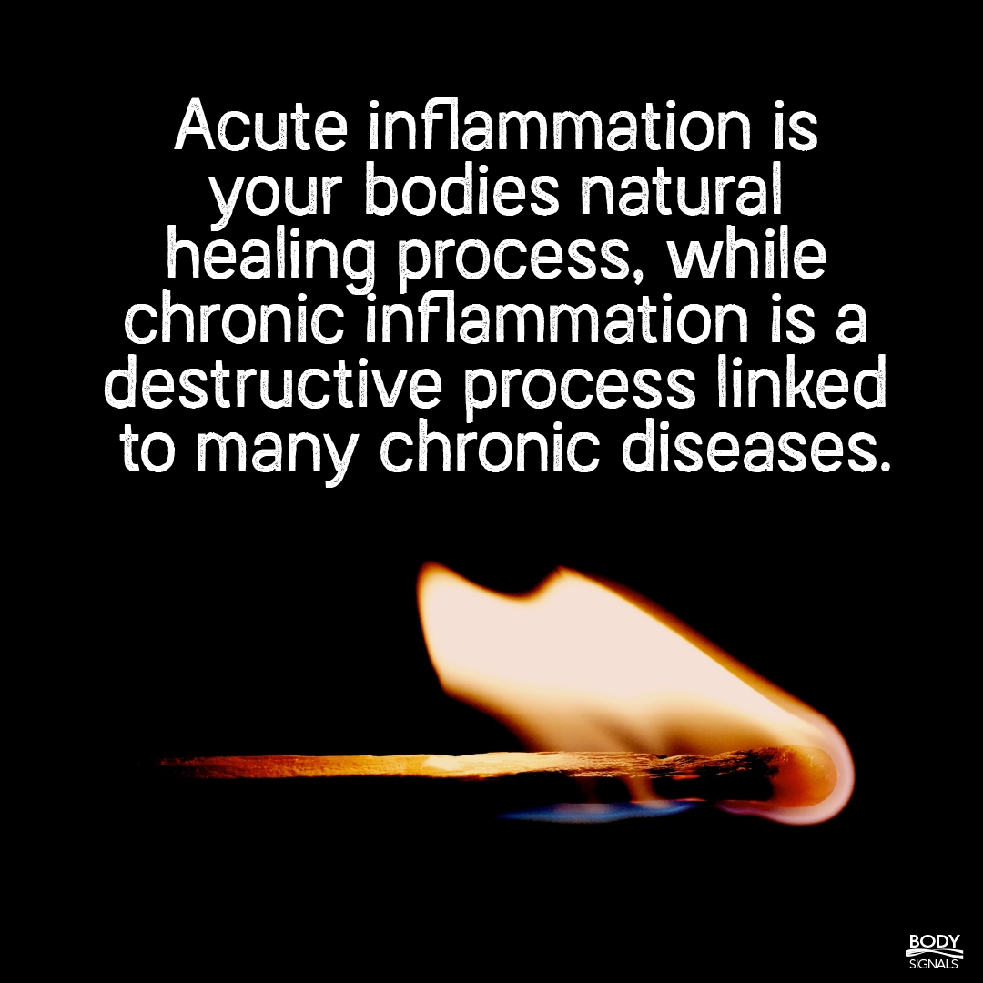 Join us for The Truth About Inflammation Virtual Workshop June 26th at 7pm!  Registration link: event.webinarjam.com/register/113/r…
...
#inflammation #health #painrelief #jointpain #diabetes #antiinflammatory #healthyliving #abetterwaychiropractic #abetterway #betterthandrugs #chiropractor