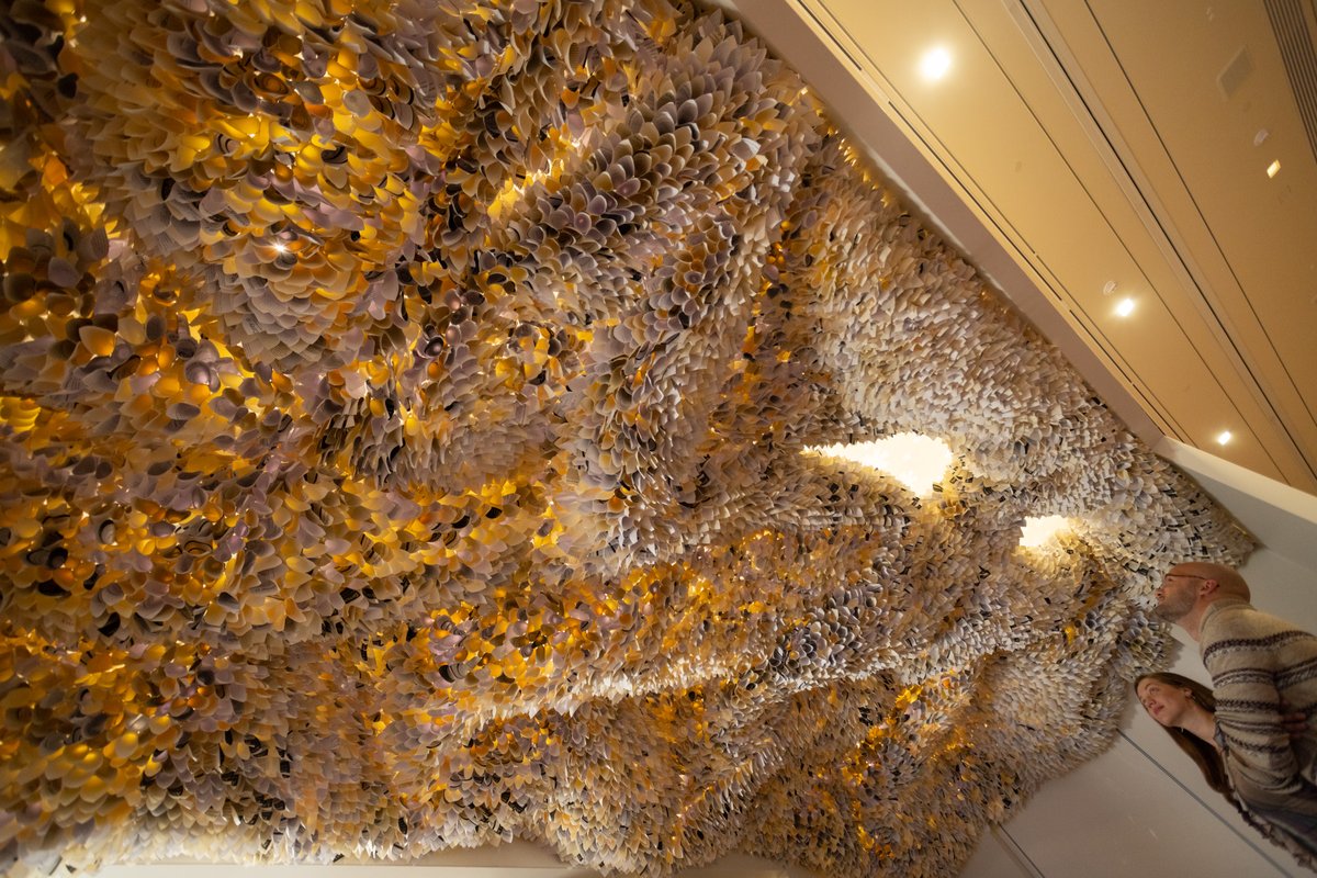 MeritAmerica's tweet photo. Proud to support this stunning manifestation of #thepaperceiling, an invisible barrier that comes at every turn for workers without a bachelor’s degree which debuted at #SHRM23 today! At Merit America, we’re committed to #TearThePaperCeiling to #HireSTARs. https://t.co/aavB8JRiBd