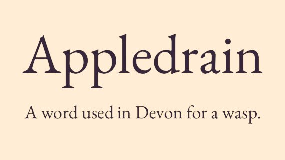 Cian McCarthy tweet media