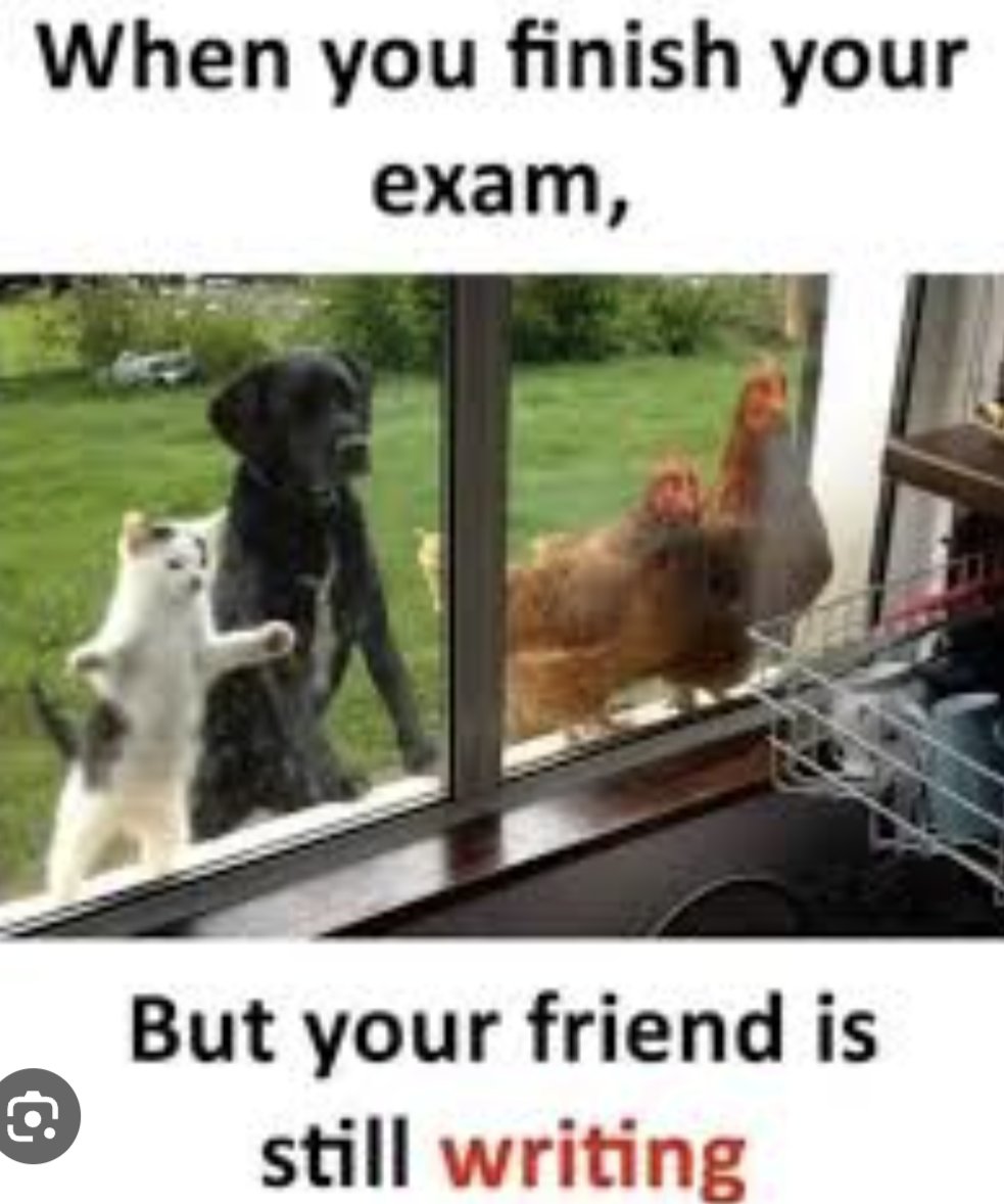 SevenKingsMFL's tweet photo. And with that, the #MFL #GCSE exams are done. So proud, MFL champions 💪🏼 Do not fear, if your #AQASpanish writing 📝exam was a wrap before your friends this afternoon, it was for good reasons, I'm sure! Same goes for #AQAFrench last week and #AQAChinese in May. #MFLTwitterati https://t.co/sMgVs8CAr7
