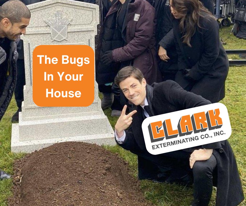 mybugproblem's tweet image. When we say &quot;The Bug Stops Here,&quot; we mean it.

#TheBugStopsHere #ClarkExterminating