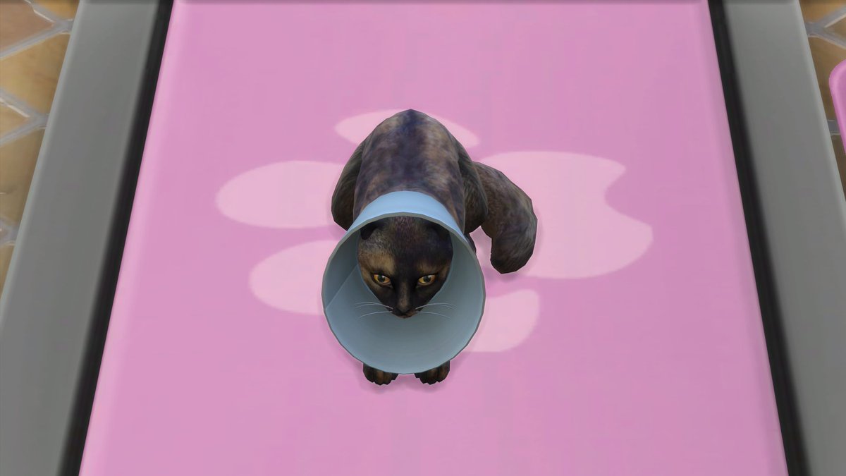 EveeSims's tweet photo. Lily had to get a cone since Joon-Wo does not exactly have the best of funds atm. https://t.co/2NZDiEzkFS