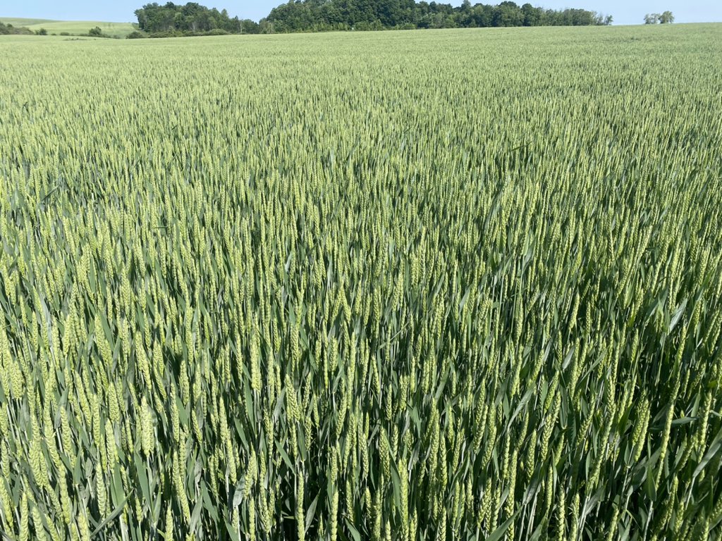 Sam Snobelen tweet media