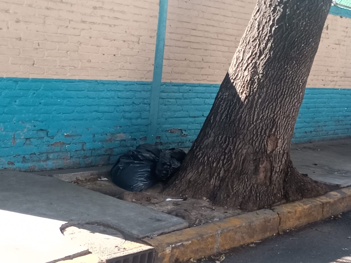 VictorM_Tovar tweet media