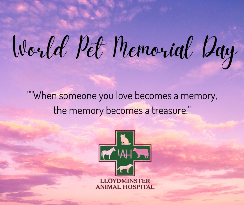 Post a picture of your beloved pets, we would love to help share their memory.