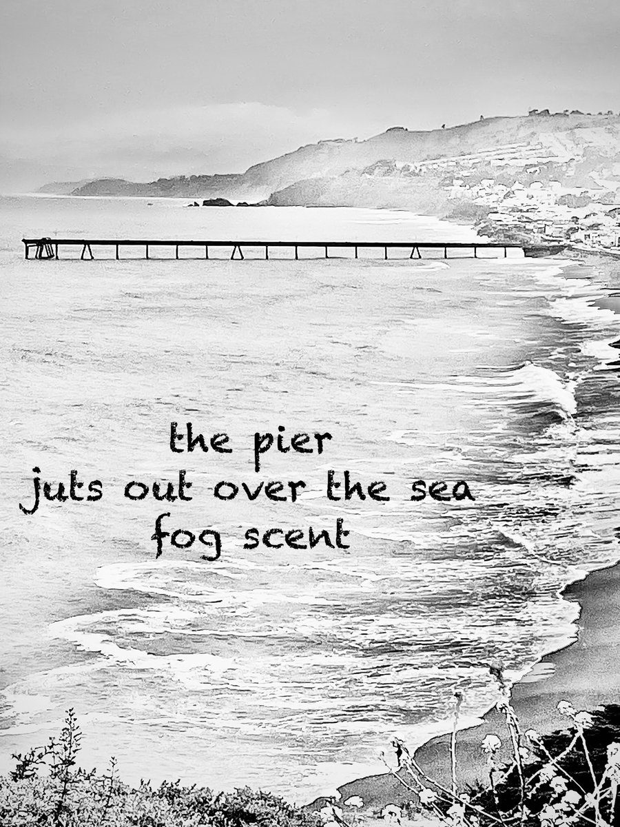 #haiga #haiku #senryu #poetry #micropoems #photography 
 #俳句 #Shahai 

     the pier 
juts out over the sea 
       fog scent