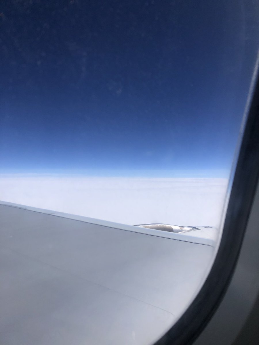 Rose Hilton tweet media