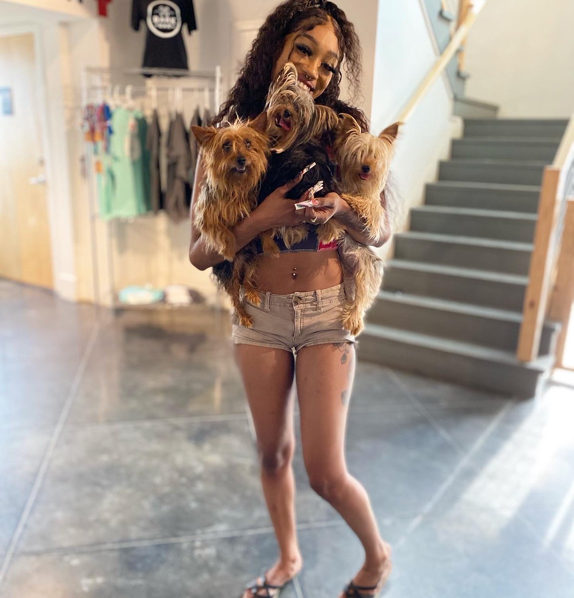 barkbarlr's tweet photo. TWOFER TUESDAY! On Tuesdays you can get 2 dogs in for the price of 1 🐶🐶💕🐾. https://t.co/ikICOArdRa