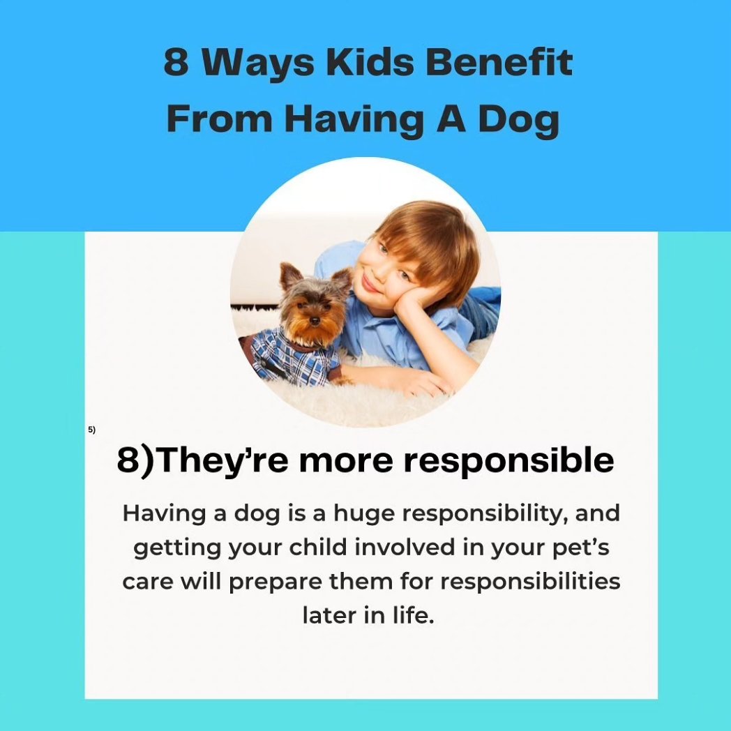 A Yorkie🐶🐾 in your 🏠
#pupdate#yorkshire #yorkshireterrier #yorkie #dog #leeds #york #dogsofinstagram #yorkiesofinstagram #northyorkshire #yorkielove #uk #dogs #england #love #westyorkshire #photography #doglovers #puppy #pet #yorkies #yorkiegram #instadog #yorkie