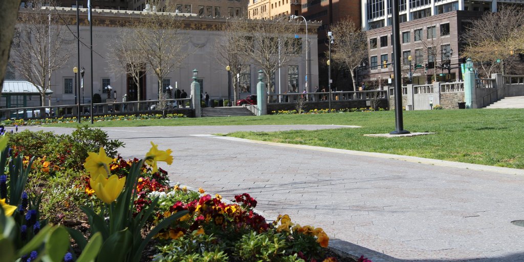 Whether you stop by to bask in the sun or find a spot of shade, you can always find a beautiful spot at Rodney Square to take a breather.
#RodneySquare #WilmDE #InWilm #WilmingtonDE #netDE #Delaware #FirstState #DE #VistitDE