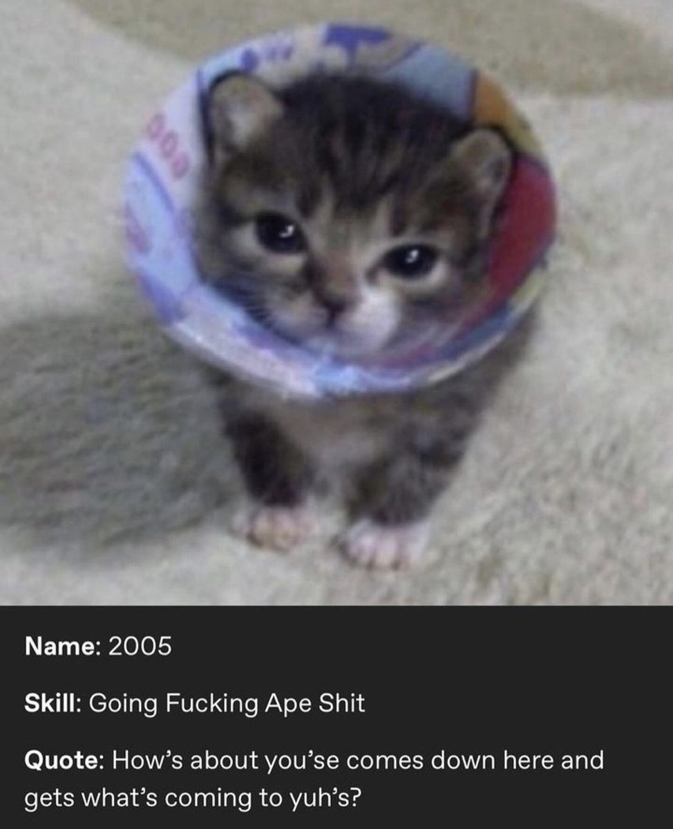 Catwheezie's Stash (@realcattohours) on Twitter photo 