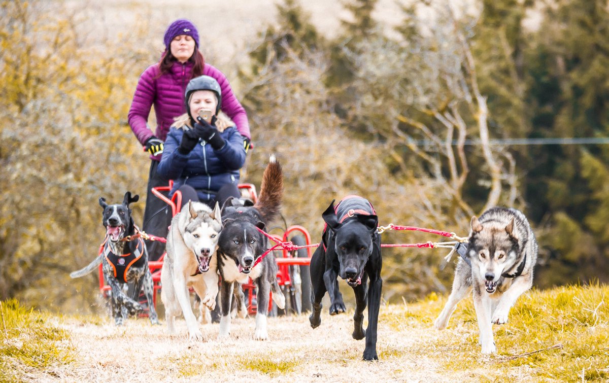 GoNorthWales's tweet image. 📍 Nestled in the heart of North Wales, #Hiraethog is an area of pure serenity and awe-inspiring landscapes. Prepare to be captivated by its timeless charm and delve into a rich history that stretches back thousands of years.

👉 Discover more: ow.ly/7zCl50OHYEN