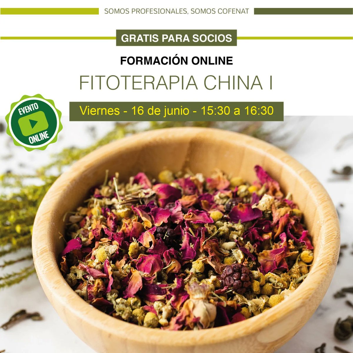 aptncofenat's tweet photo. FORMACIÓN ONLINE: FITOTERAPIA CHINA I
Viernes, 16 de junio de 15:30 a 16:30 horas.
Inscripciones en dpto.comunicacion@cofenat.es
¡¡Lo encontrarás en la News nº 243!! 👇
https://t.co/Ryk4k5pW7m
#fitoterapia #fitoterapiachina #dispersarelcalor #TerapiasNaturales #Cofenat https://t.co/T5vG6XcY90