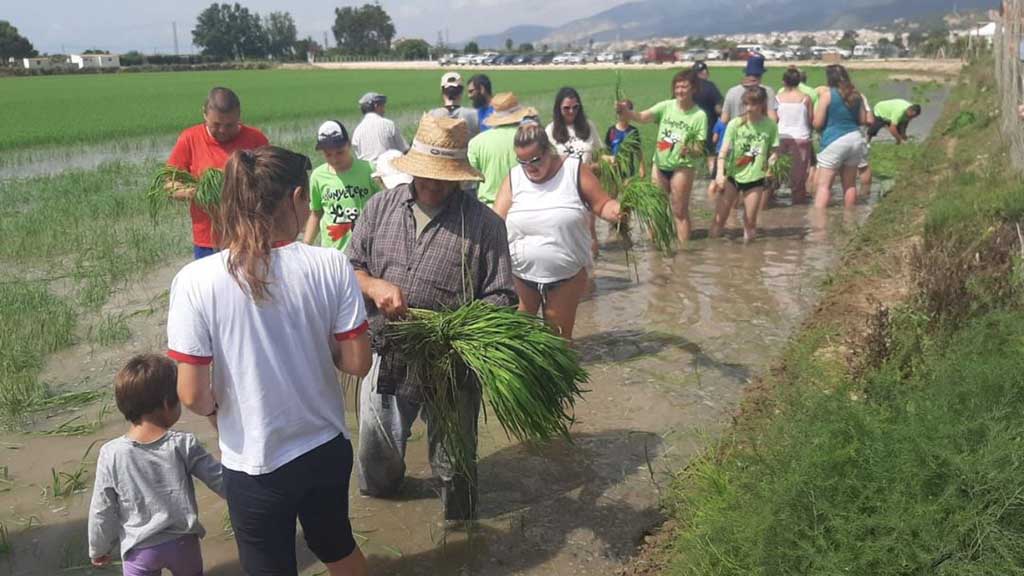 Setmanari L'Ebre (@setmanariebre) on Twitter photo ▶ LA NOTÍCIA: La festa de la plantada de l’arròs arriba aquest cap de setmana a la Ràpita
<a href="/ajlarapita/">Ajuntament de la Ràpita</a> <a href="/jccaparros/">Josep Caparrós</a> <a href="/FundPlegadis/">Fundació Plegadis</a> <a href="/TurismeLaRapita/">Turisme la Ràpita</a> <a href="/dipta_Cat/">Diputació de Tarragona</a> <a href="/XimoRambla/">Ximo Rambla</a> #laRàpita #TerresdelEbre
setmanarilebre.cat/?p=82630 ▶ LA NOTÍCIA: La festa de la plantada de l’arròs arriba aquest cap de setmana a la Ràpita
<a href="/ajlarapita/">Ajuntament de la Ràpita</a> <a href="/jccaparros/">Josep Caparrós</a> <a href="/FundPlegadis/">Fundació Plegadis</a> <a href="/TurismeLaRapita/">Turisme la Ràpita</a> <a href="/dipta_Cat/">Diputació de Tarragona</a> <a href="/XimoRambla/">Ximo Rambla</a> #laRàpita #TerresdelEbre
setmanarilebre.cat/?p=82630