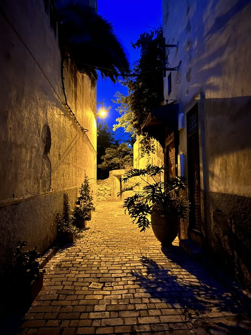 3 pic. Fez 🇲🇦 Gatitos, calles bonitas, atardeceres increíbles. Qué bonito ha sido :-) https://t.co/o