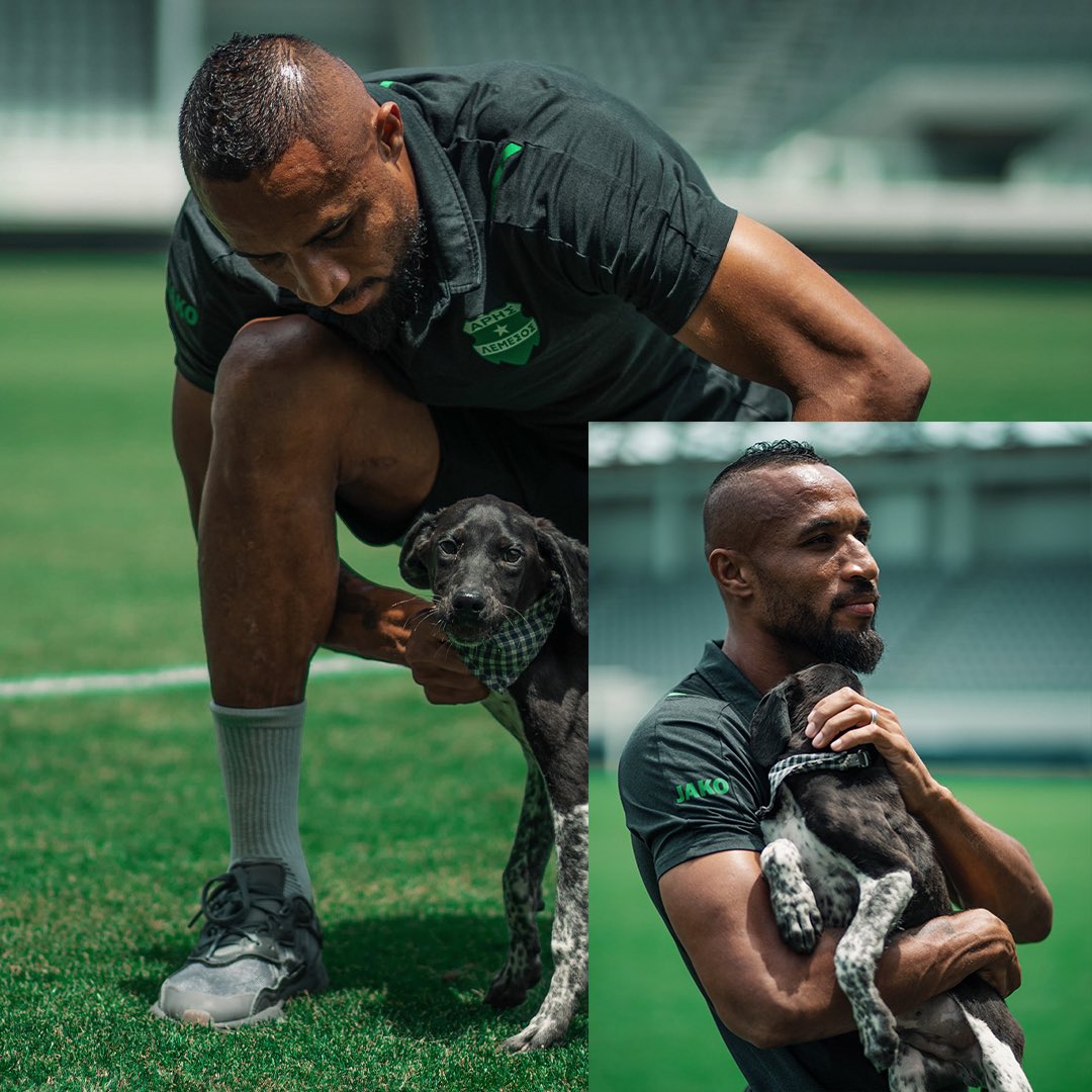 🏟️ A photosession at Alphamega Stadium powered by ARIS Limassol FC and William’s Dog Shelter 📸

Good boys! 🐶