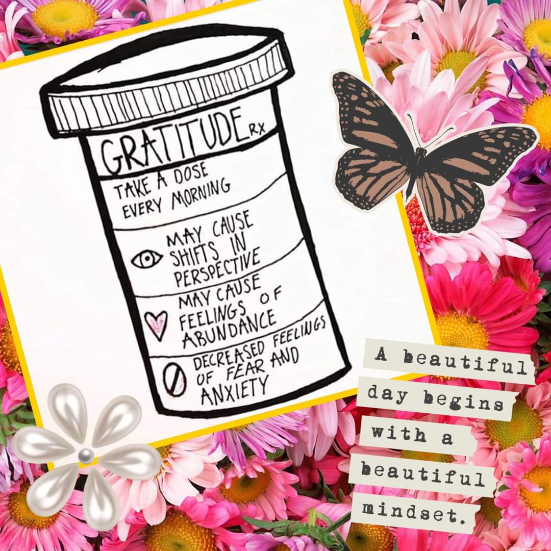 Having an attitude of Gratitude LITERALLY rewires your brain to see the positive instead of dwelling on the negative. What r u thankful 4 2day?? Feed the positive 🐕!